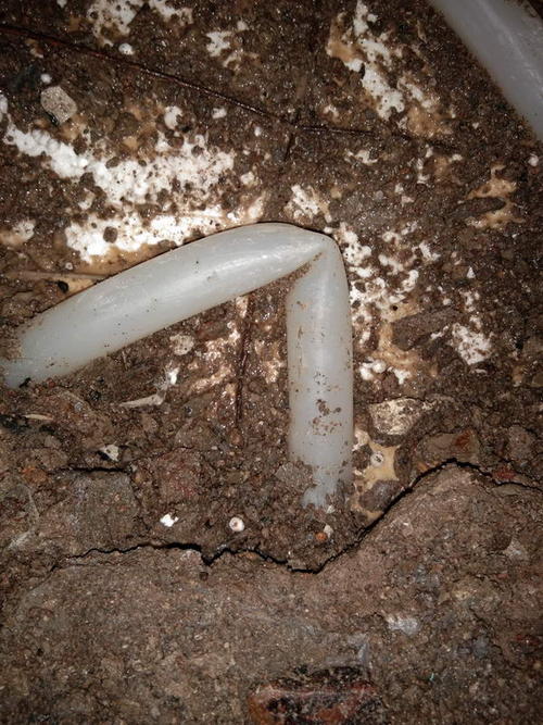 施秉堵点精准查找